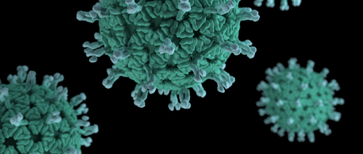 Microscopic view of 3D green virus cells