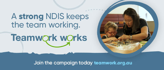 A round photo of a young person with disability and support worker playing a game, text reads: A strong NDIS keeps the team working. Teamwork works, Join the campaign today teamwork.org.au