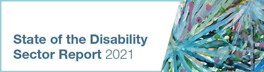 banner with watercolor painting and text reads State of the Disability sector report 2021