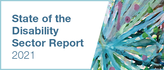 Reads: State of the Disability Sector Report 2021