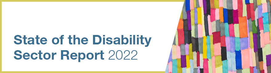 State of the Disability sector Report 2022