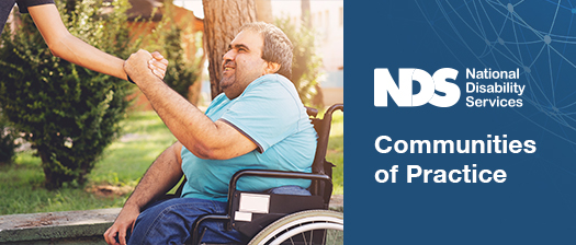 A person sitting in a wheelchair holding hands with a support person that is off camera. Banner that reads NDS Communities of Practice