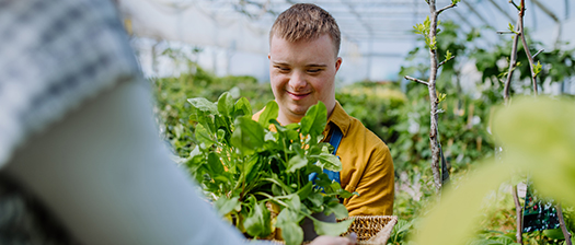 A young man with Down syndrome holds plants in a nursery and smiles