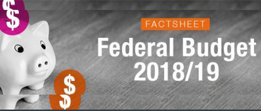 Federal Budget 2018-19 factsheet banner with piggy bank