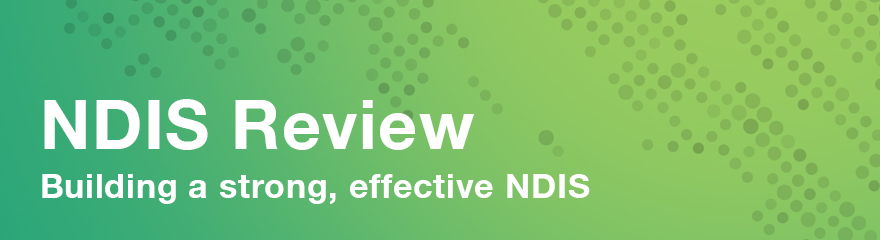 NDIS Review: Building a strong, effective NDIS