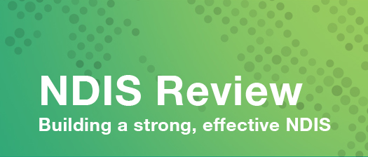 NDIS Review, Building a strong, effective NDIS