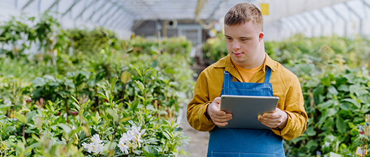 A person with disability wearing an apron walks through a garden nursery holding a tablet device