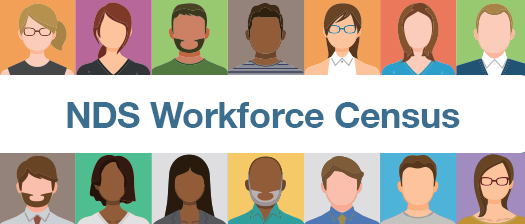 Colourful illustrations of a diverse group of people alongside the text: NDS Workforce Census