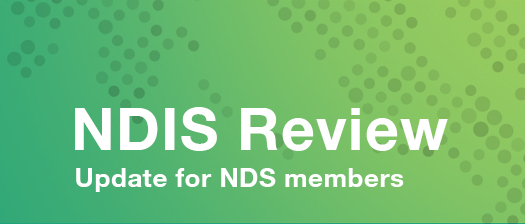 NDIS Review - Update for NDS members