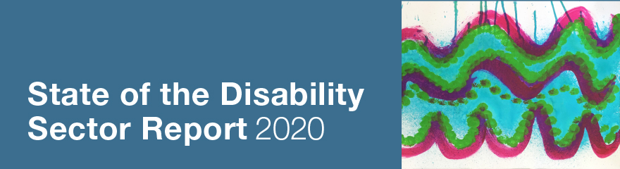 State of the Disability Report 2020
