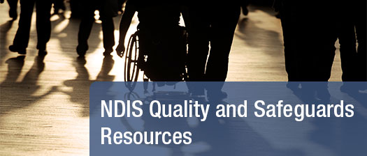 ndis quality and Safeguards resources banner. Photo of a people's shadows.