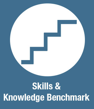 skills knowledge